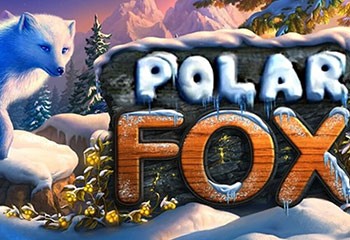 Polar Fox